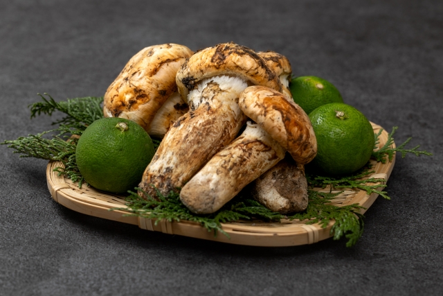 Matsutake mushroom, a seasonal delicacy in Japan