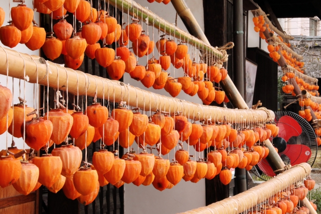 Rows of dried persimmons hanging to dry under the eaves of a traditional Japanese house